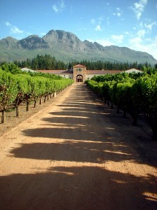 south-africa-red-wine